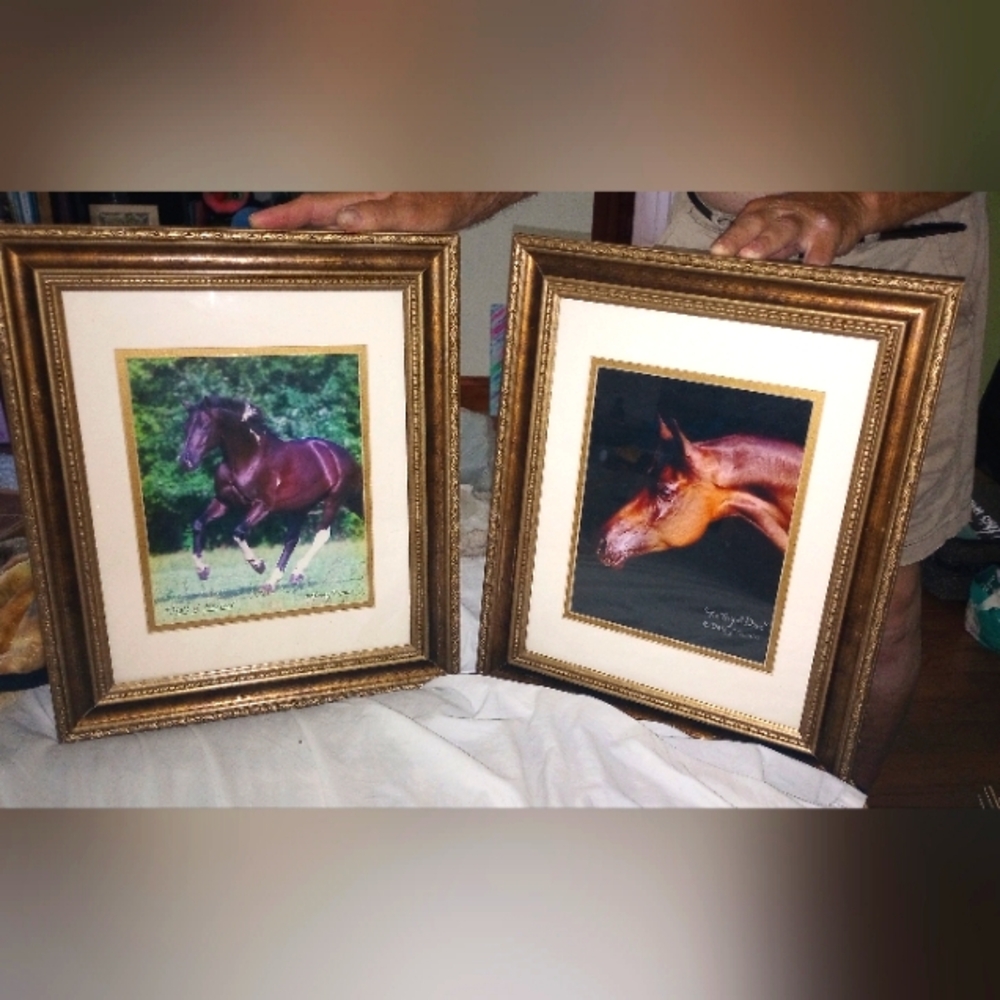 Elegant Horses by Equestrian & Artist Debby Thomas; Beautiful Set!